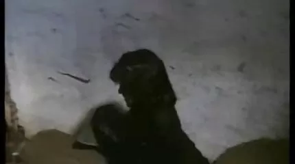 Barna nagy pénzt keres a fenekével a zsebibaba sex video castingon.
