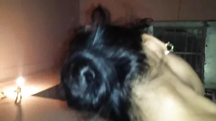 Megnyújtotta a fenekét a kezével, és tinipinak beledugta a csokoládészemet.